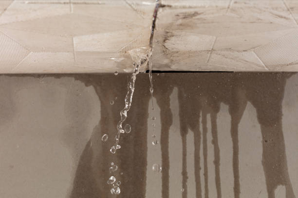 Professional Sewage Cleanup technician working in Elk Horn, IA